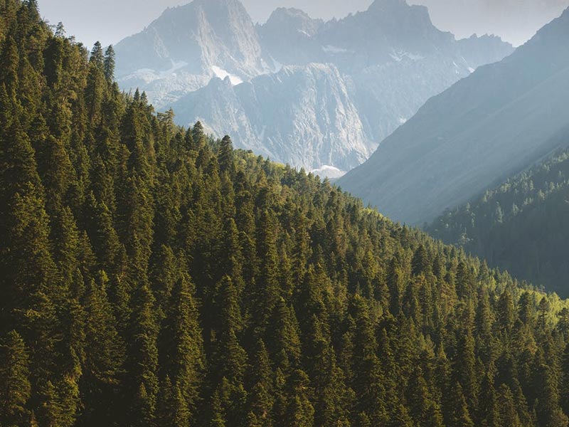 Alaska